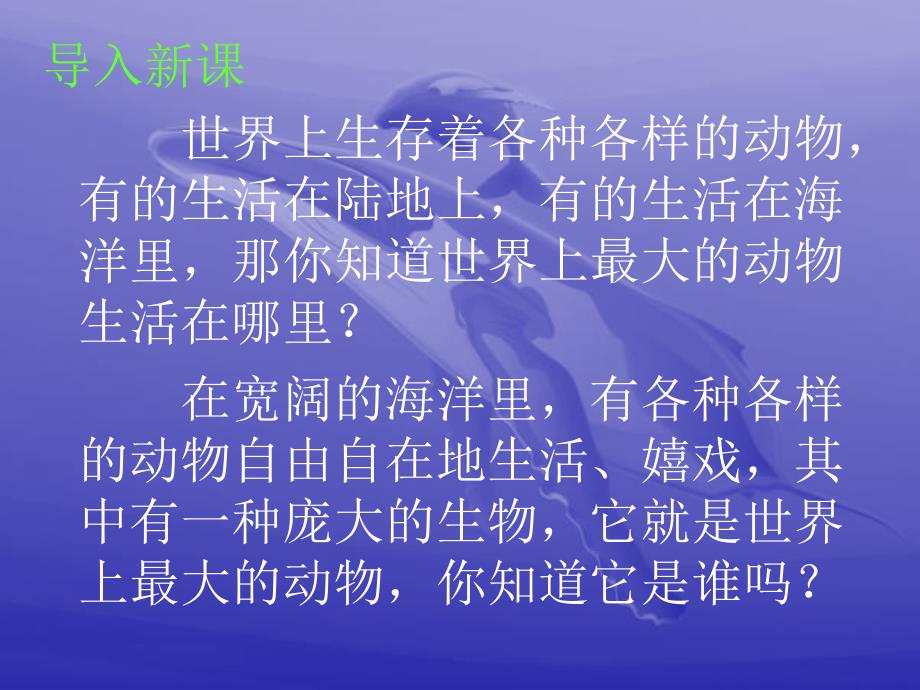 鲸_PPT课件 (7)_第1页