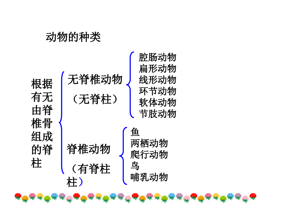 新人教版八年级生物上册第一章第四节_鱼_(上课用)_第4页