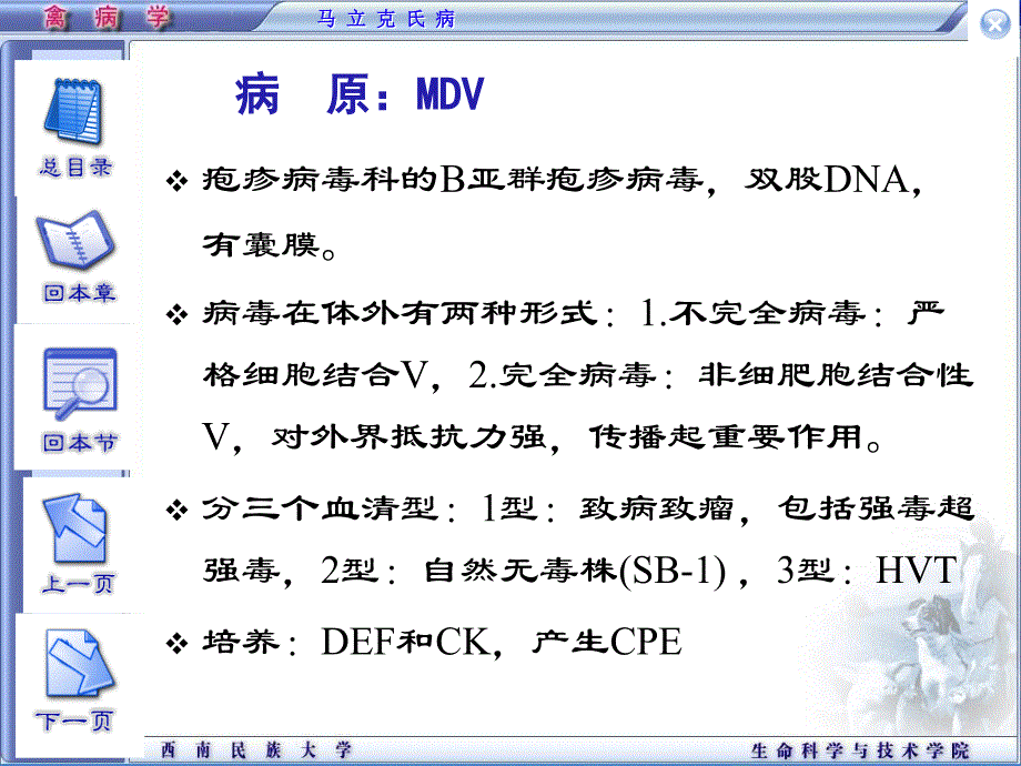 精品课程禽病学ppt03鸡马立克病_第4页