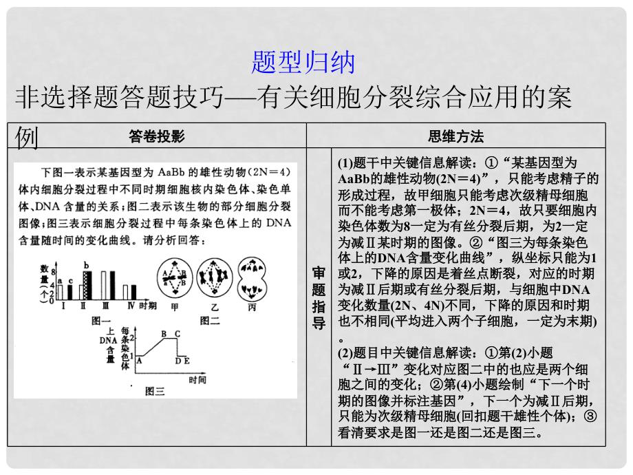 高考生物第一轮复习 第四单元单元综合提升教学课件_第2页