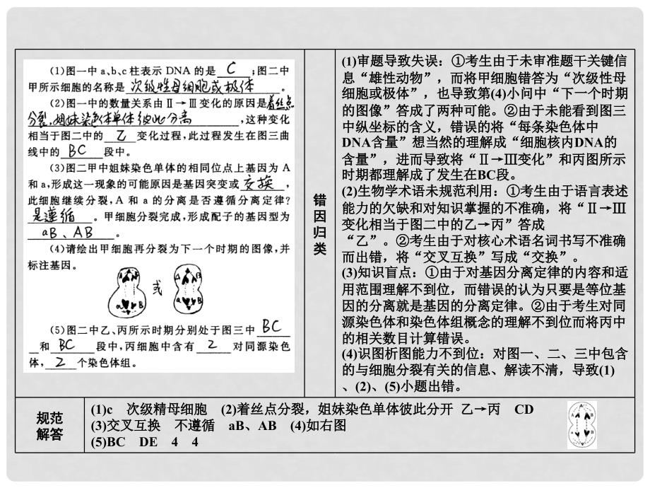 高考生物第一轮复习 第四单元单元综合提升教学课件_第3页