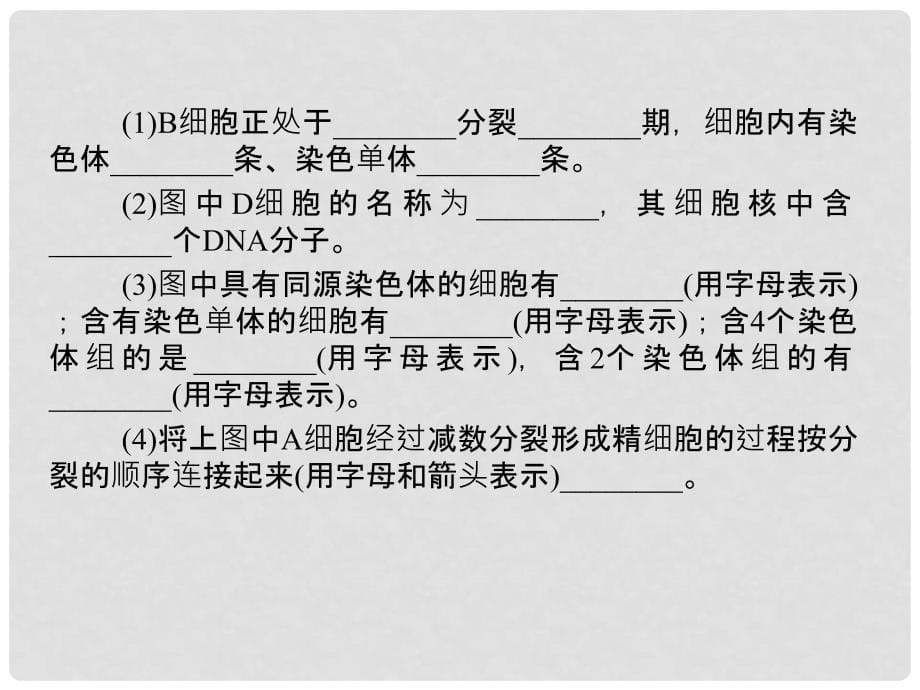 高考生物第一轮复习 第四单元单元综合提升教学课件_第5页