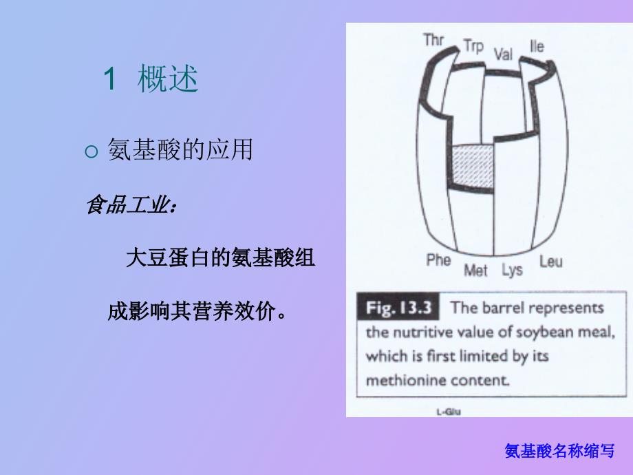 氨基酸发酵工艺_第3页