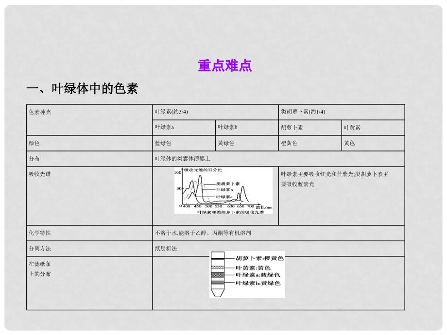 高考生物总复习 专题6 光合作用课件_第3页