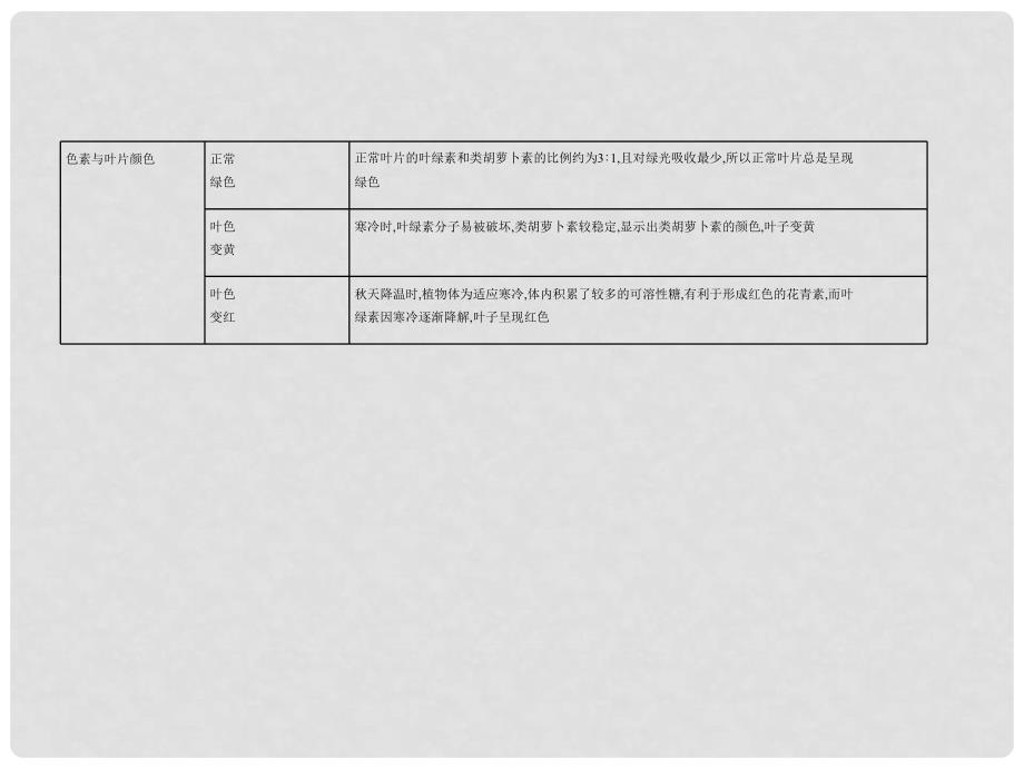 高考生物总复习 专题6 光合作用课件_第4页