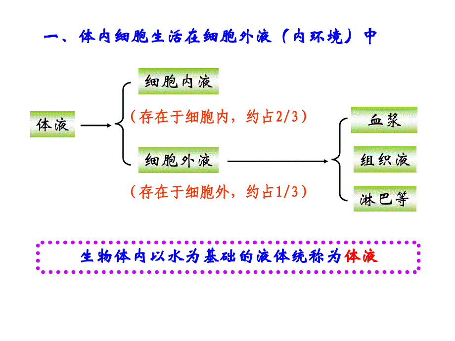 稳态的生理意义课件_第4页