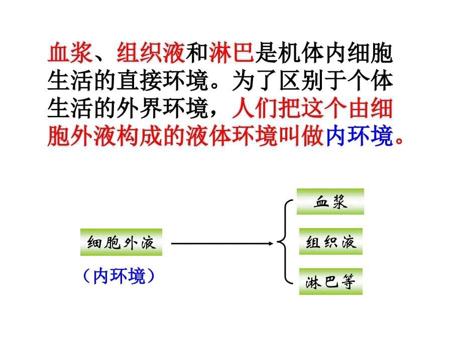 稳态的生理意义课件_第5页