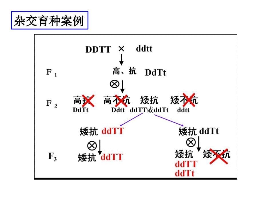 作物育种学(刘裕强)第五章杂交育种_第5页