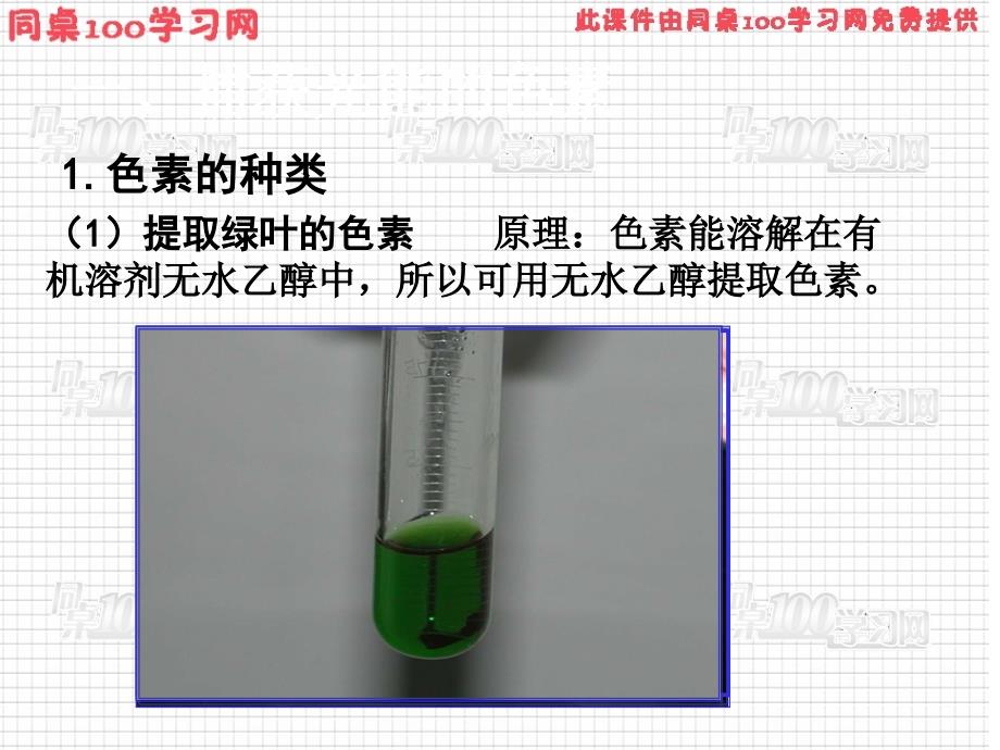 第5篇细胞的能量供应与利用课件_第3页