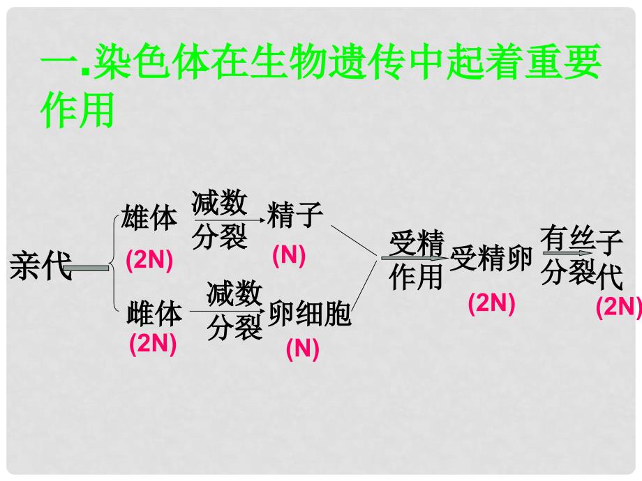 高中生物：4.1《探索遗传物质的过程》课件1（苏教版必修2）_第2页