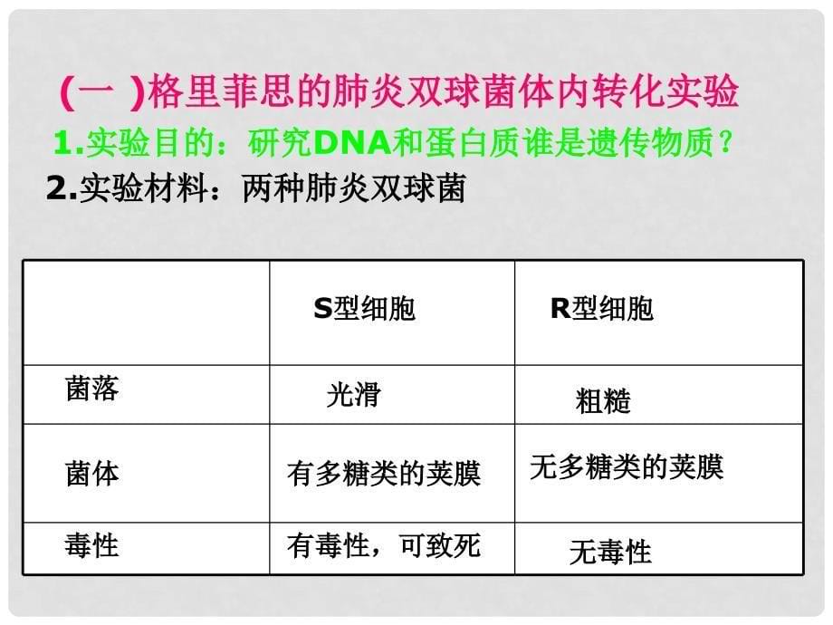 高中生物：4.1《探索遗传物质的过程》课件1（苏教版必修2）_第5页