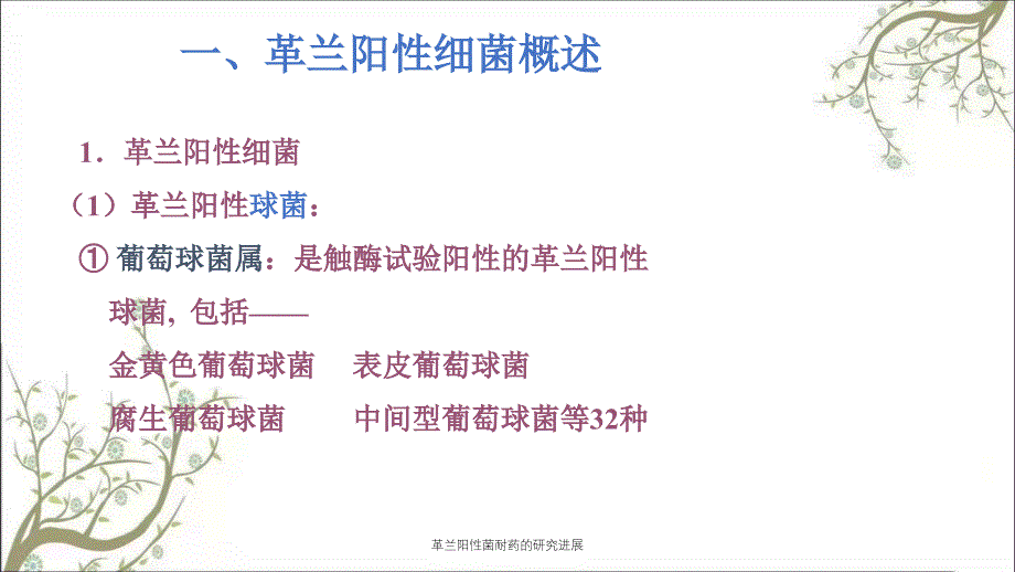 革兰阳性菌耐药的研究进展课件_第2页