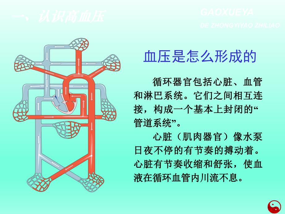 高血压中医药防治知识_第4页