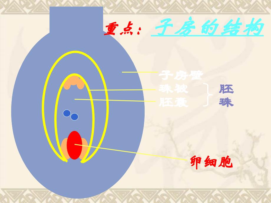 7.1.1植物的生殖_第4页