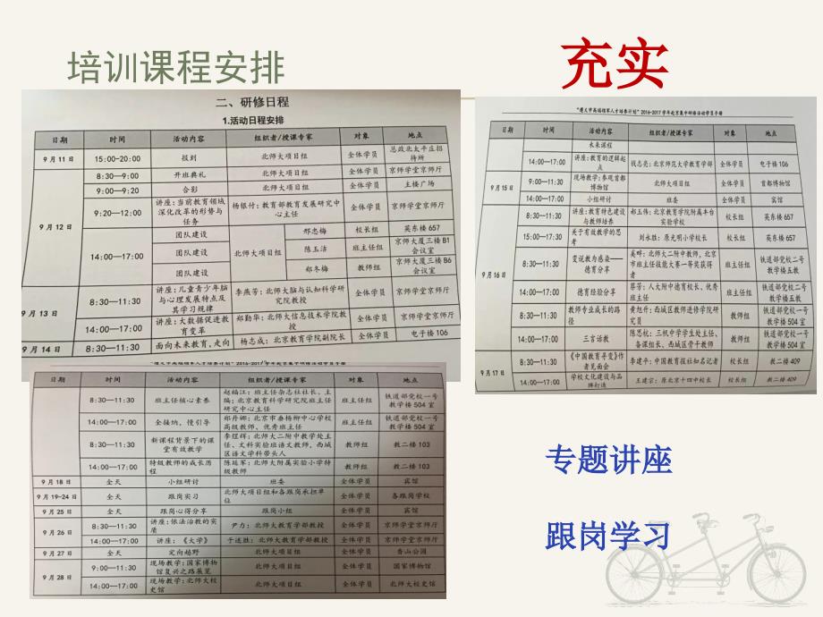 领军人才培养计划汇报_第4页