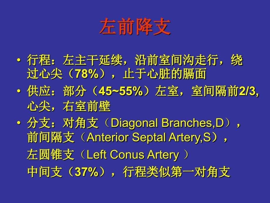 冠状动脉解剖与介入.ppt_第5页