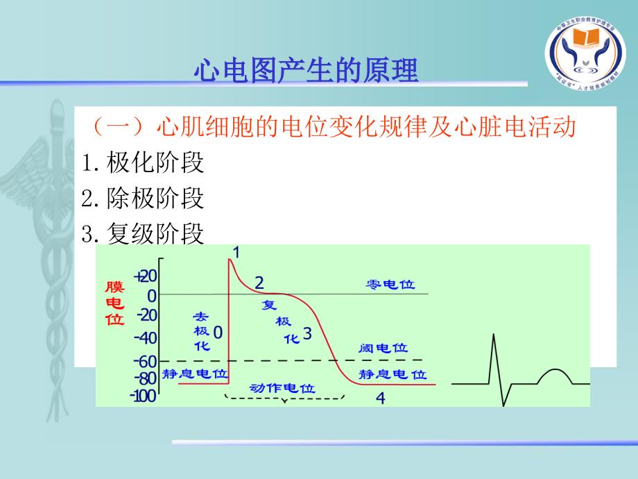 7第七章心电图检查_第4页