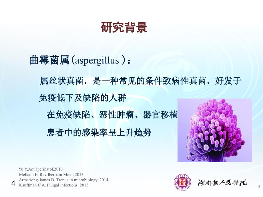 硕士论文答辩PPT.ppt_第4页