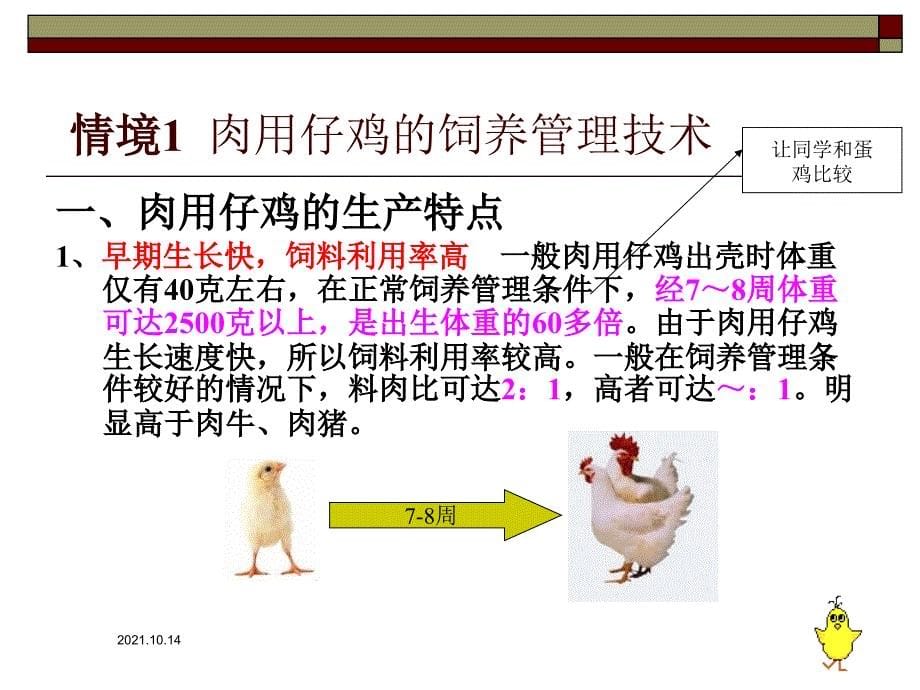 1延安职业技术学院养禽与禽病防治精品课程_第5页