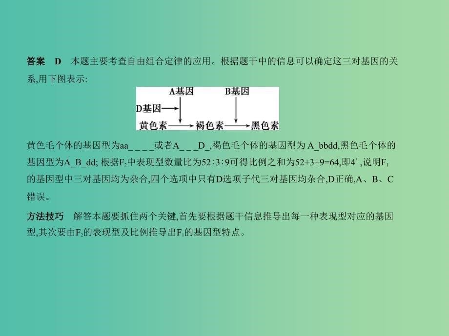 江苏专版2019版高考生物一轮复习专题12基因的自由组合定律课件.ppt_第5页