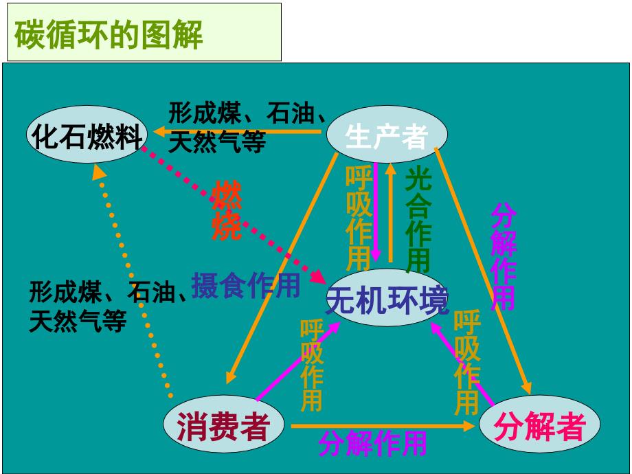 生物：53《生态系统的物质循环》课件2新人教版必修课件_第4页