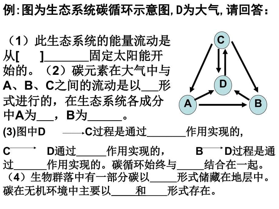 生物：53《生态系统的物质循环》课件2新人教版必修课件_第5页