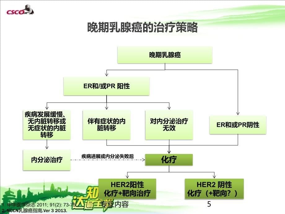 晚期乳腺癌一线治疗策略优化和探讨荟萃材料_第5页