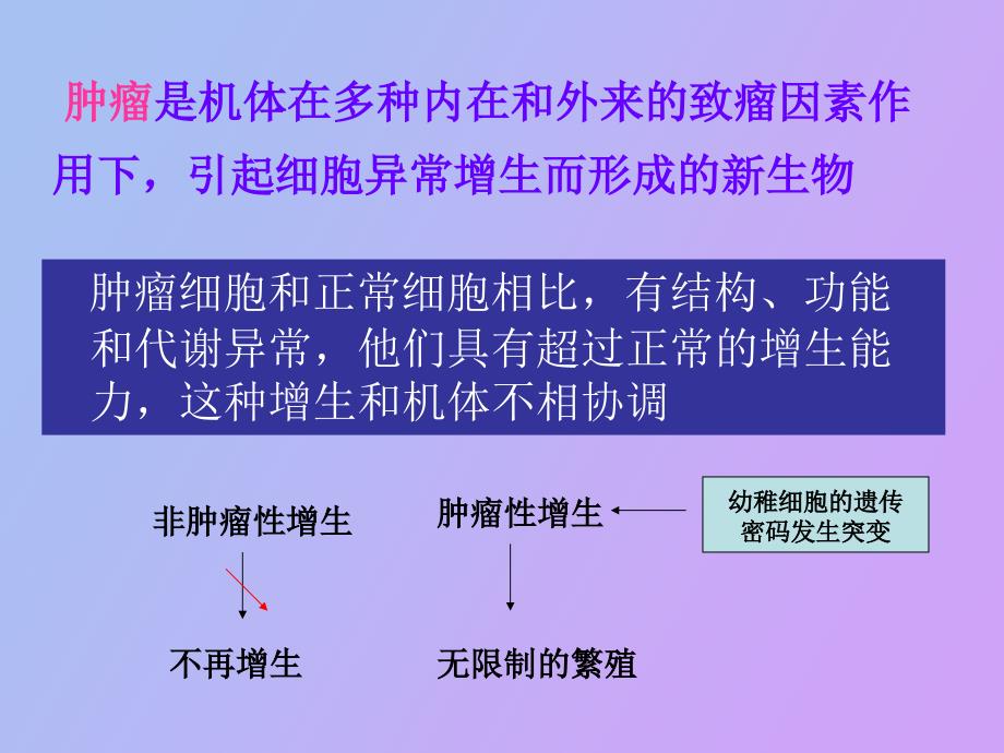 膳食营养与肿瘤_第2页