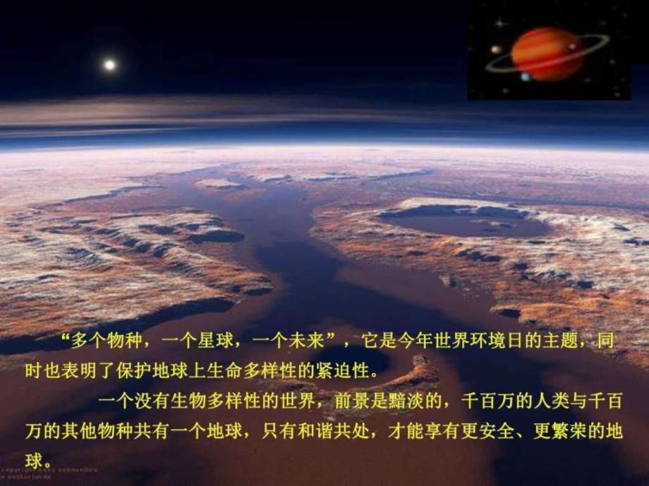 保护绿色家园图文.ppt_第2页