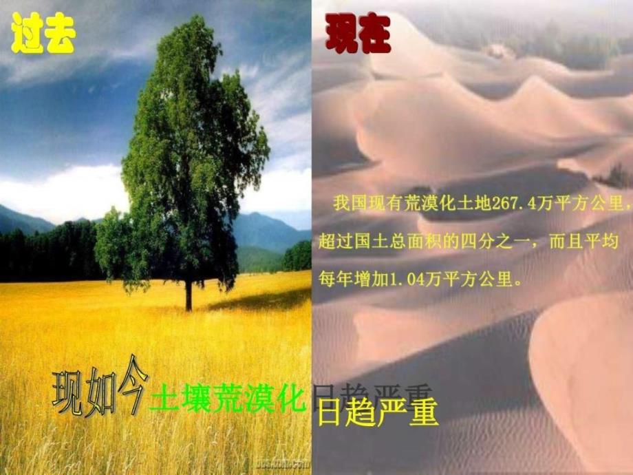 保护绿色家园图文.ppt_第3页