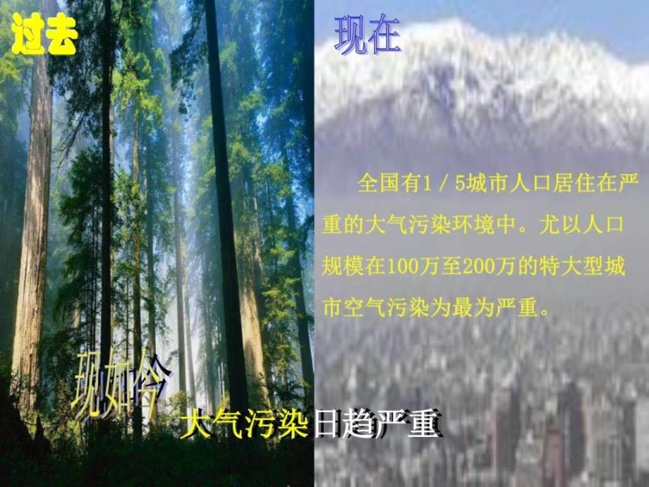 保护绿色家园图文.ppt_第4页