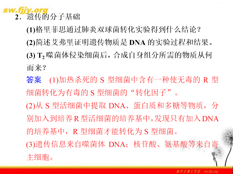 高考生物二轮专题复习课件考前冲刺专题四考点6遗传的物质基础_第4页