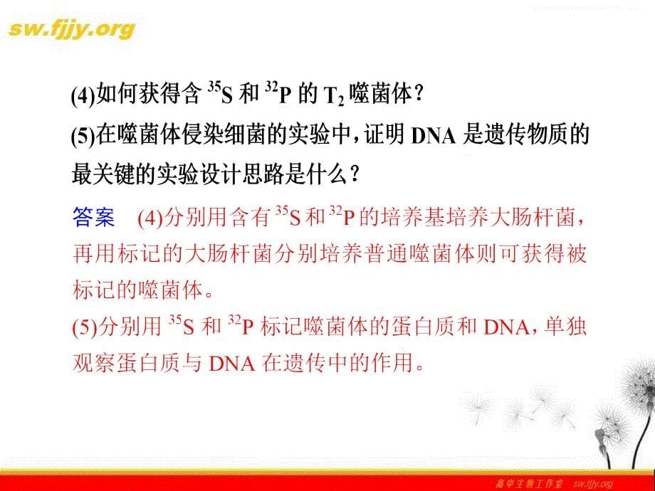 高考生物二轮专题复习课件考前冲刺专题四考点6遗传的物质基础_第5页