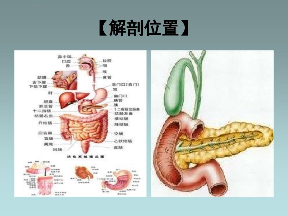 胰腺癌病人的护理ppt课件_第3页