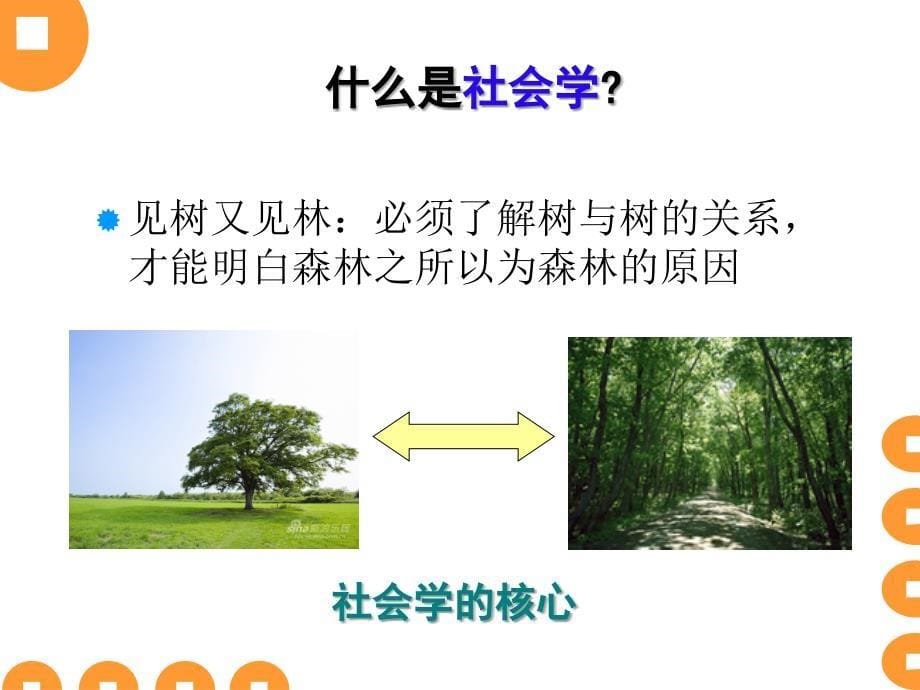 《社会学之初探》PPT课件.ppt_第5页