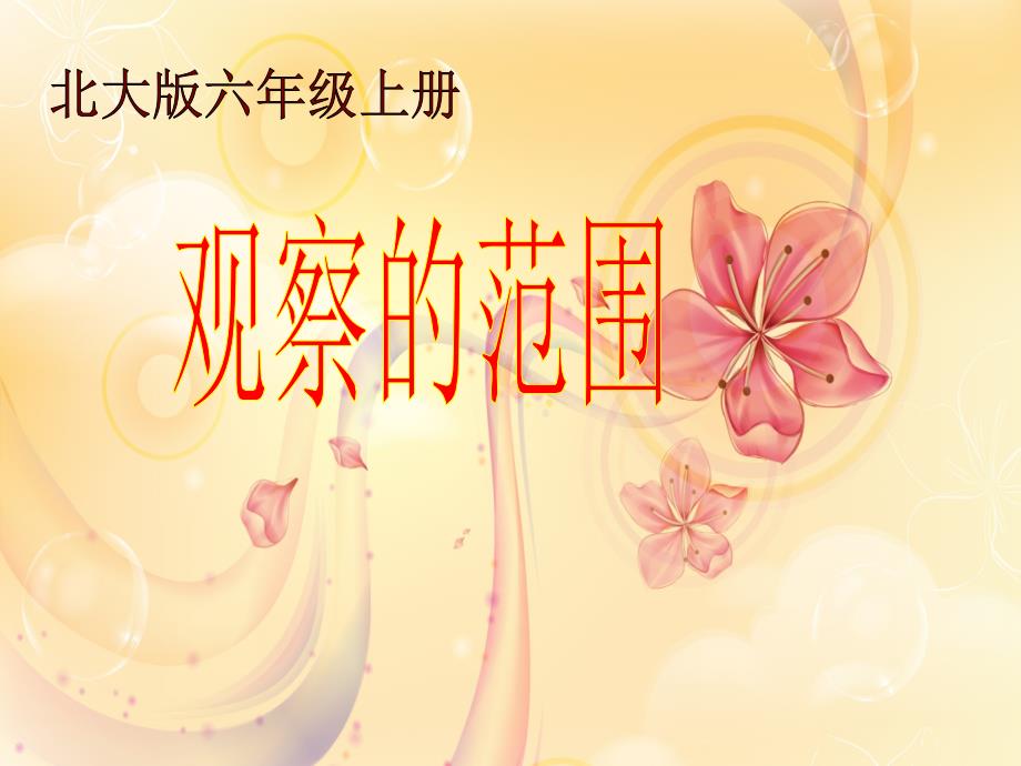 北师大版数学六年级上册《观察的范围》2课件_第1页