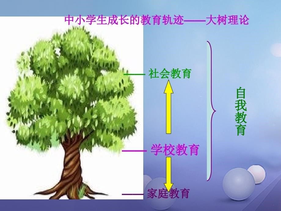 中学主题班会 班主任培训讲座1课件_第5页