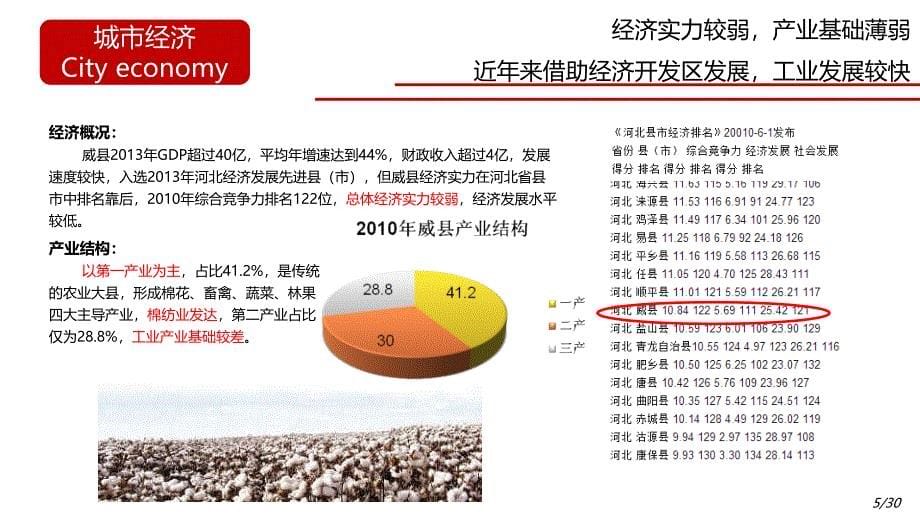 河北威县产业园项目策划报告30p_第5页