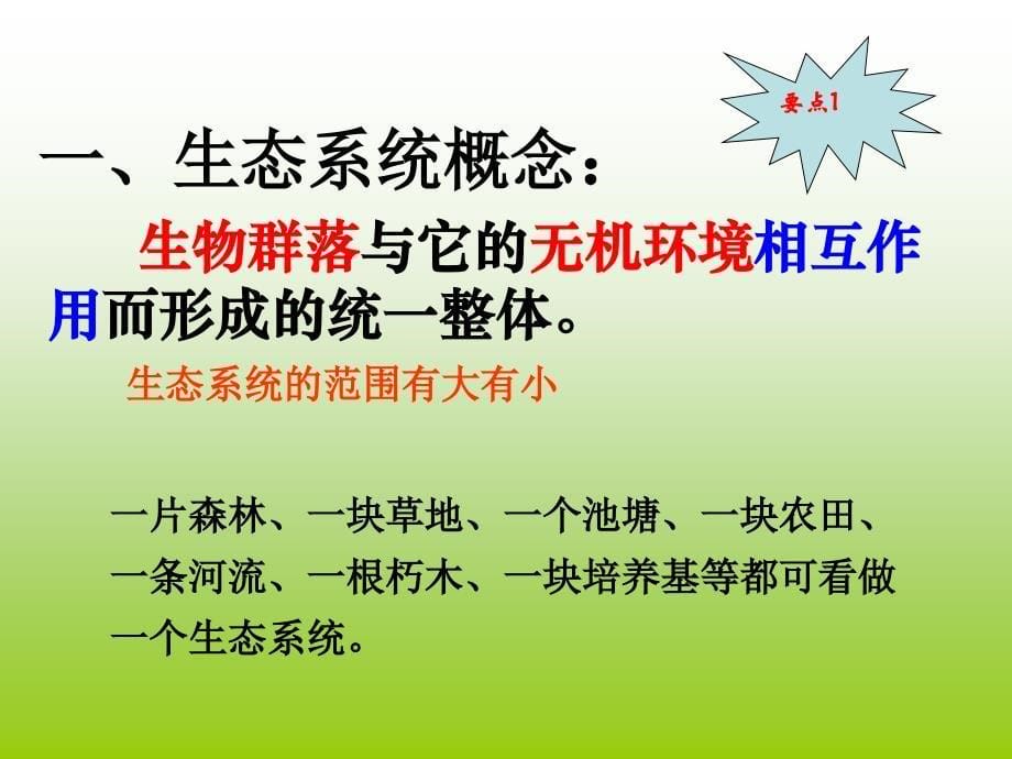 生态系统的结构.ppt6_第5页