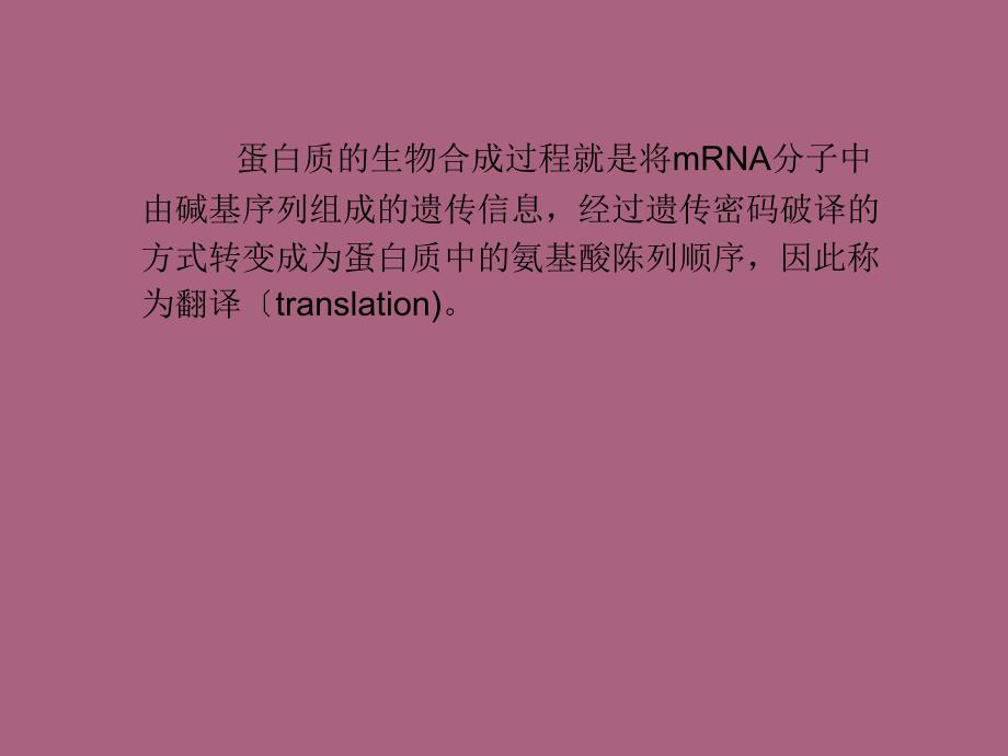 蛋白质的生物合成翻译ppt课件_第2页