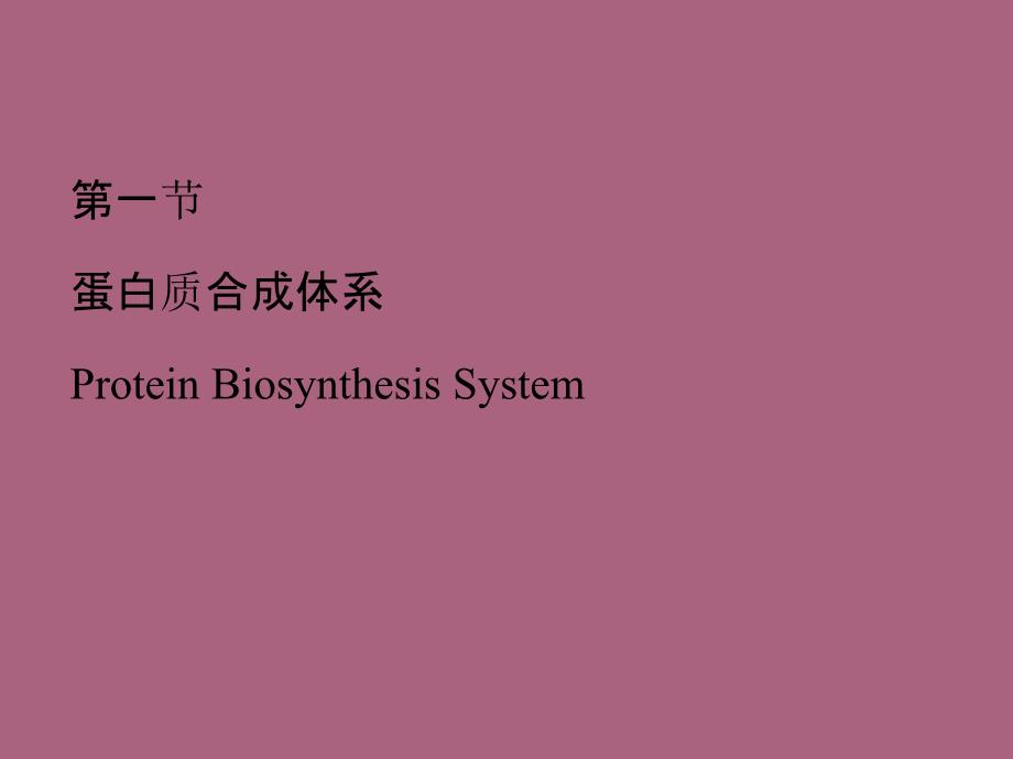 蛋白质的生物合成翻译ppt课件_第4页