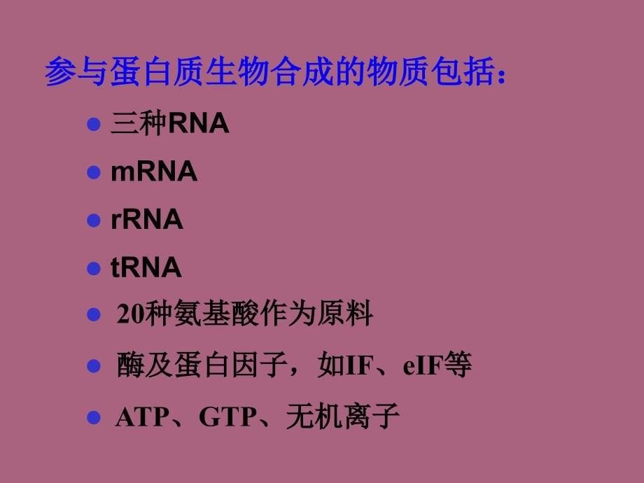 蛋白质的生物合成翻译ppt课件_第5页