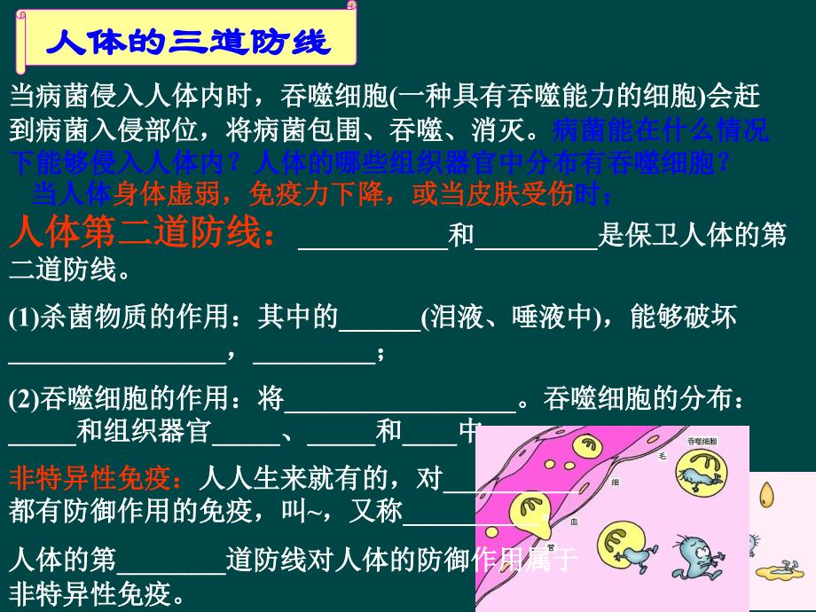 八年级生物第二节免疫与计划免疫（共10张PPT）课件人教版_第3页