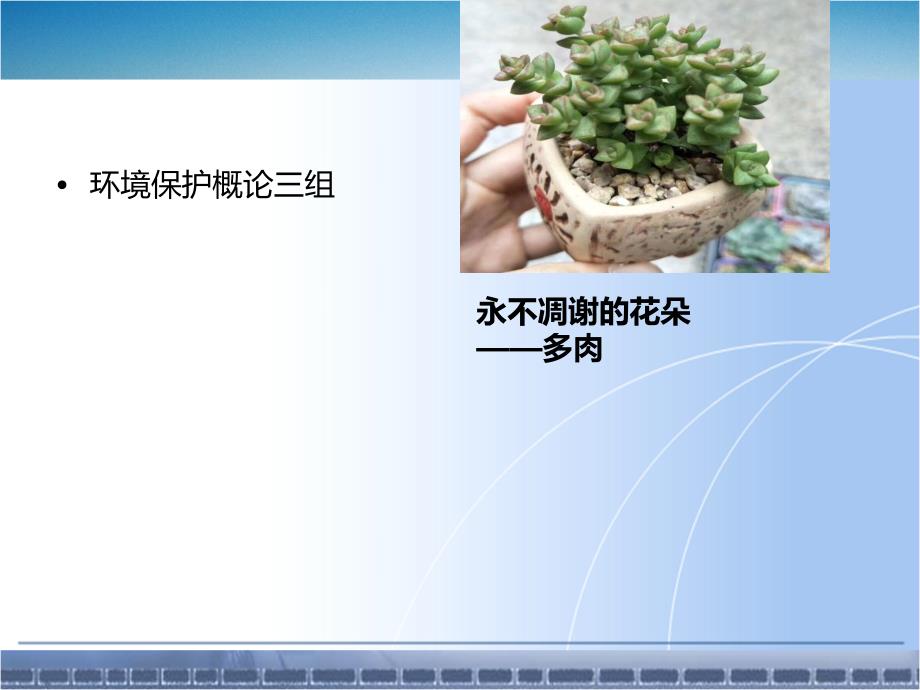 多肉植物介绍48792_第1页