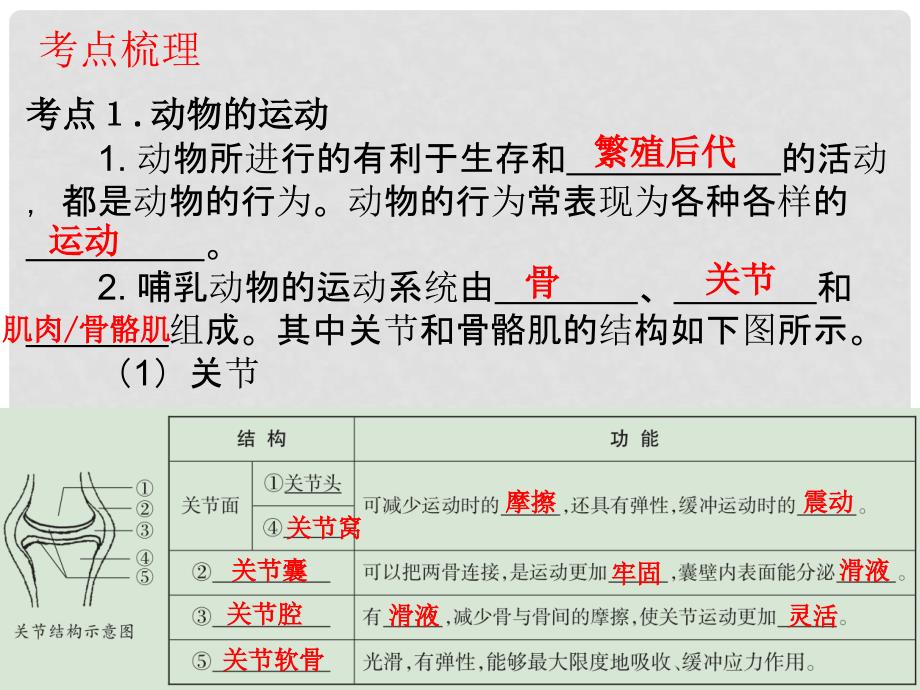 广东省中考生物 第五单元 生物圈中的其它生物 第二章 第三章 动物的运动 动物在生物圈中的作用课件_第4页