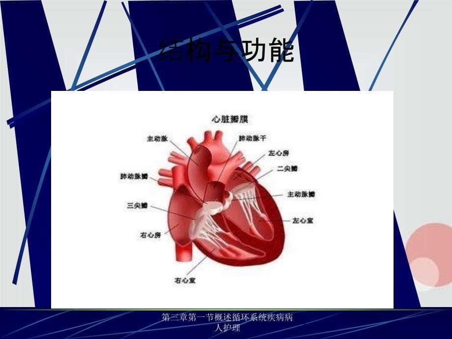 第三章第一节概述循环系统疾病病人护理_第5页