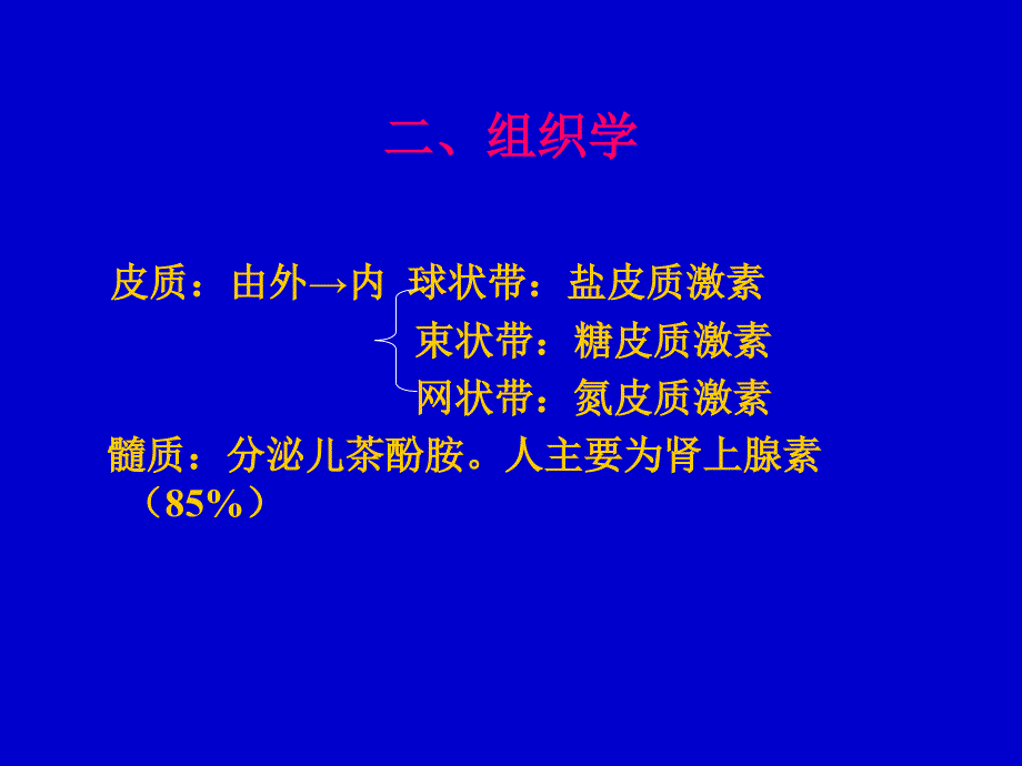 高血压与肾上腺的关系文档资料_第2页