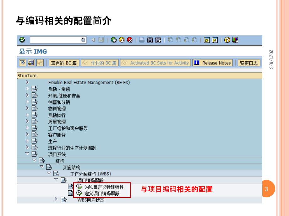 SAPPS模块配置基础_第3页