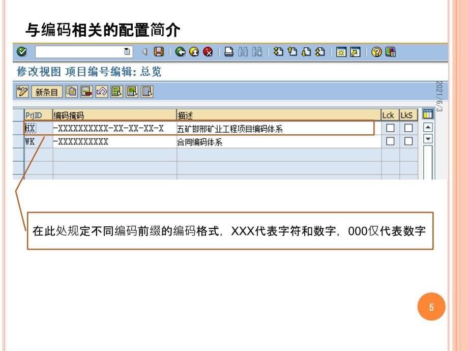 SAPPS模块配置基础_第5页