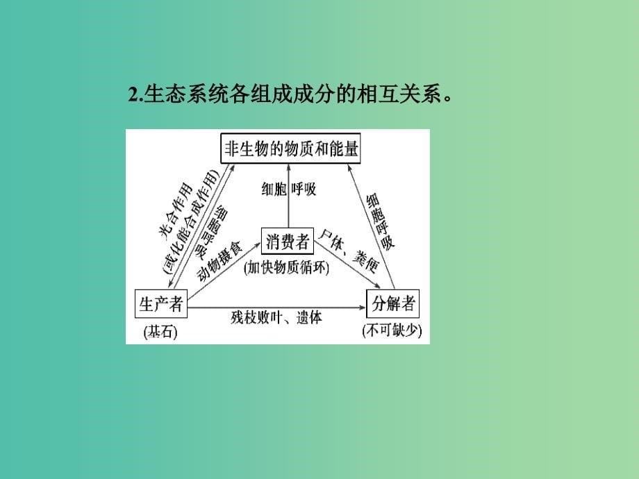 高中生物 5.1生态系统的结构课件 新人教版必修3.ppt_第5页